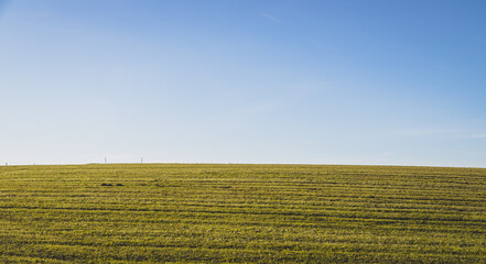 Concept for ecology, earth and green motivation