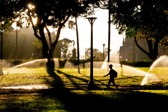 Silhouette of a man walking through hyde park in the early morning