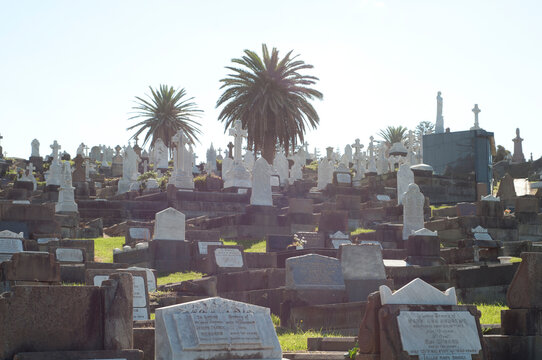 Bronte Cemetery