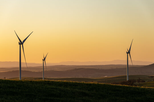 wind turbines in rolling farmland in late afternoon light