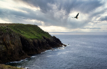 Beautiful landscape. Cliffs in western Cornwall