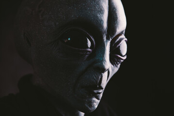 Außerirdische Kreatur hat eine Botschaft für den Menschen. Grauer freundlicher Humanoid aus einer anderen Planetenporträtserie.