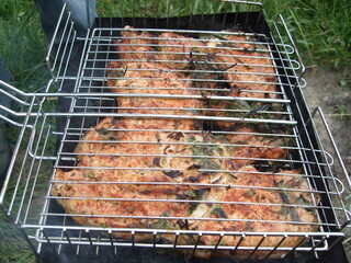 the meat on the coals. roasting meat on the grill. BBQ . meat on the grill
