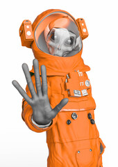 alien astronaut is saying hey stop there
