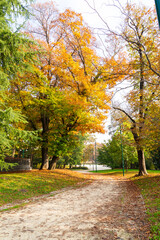 The colors of autumn in the famous Sempione park, Milan, Italy