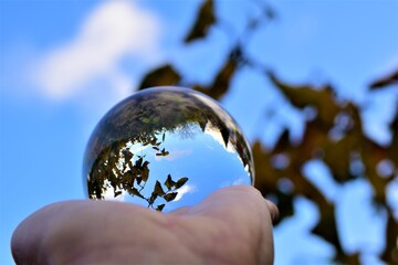 Sky and trees trough a lens ball on a hand against a blue sky and branches