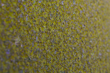 Coarse olive tinted background or wallpaper. Rough textured surface. Unusual backdrop of rusty iron. A corroded, uneven field with potholes and purple scale. Looks like green mold or lichen. Macro