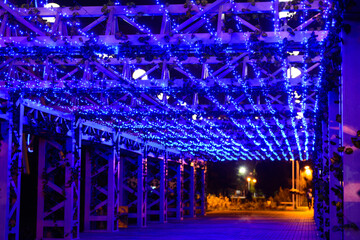 Night illumination in the park. Arch in blue garlands and plants