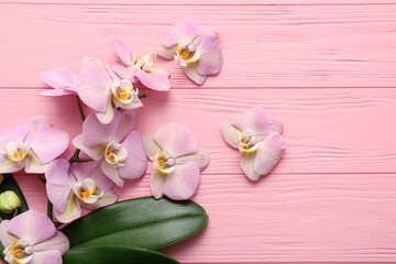 Naklejka na ściany i meble Beautiful orchid flowers and leaves on color background