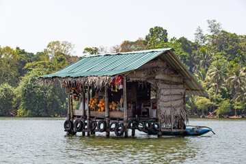 Fototapeta na wymiar A wooden house stands above water in the jungle in a tropical forest.