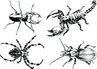 vector drawings sketches different insects bugs Scorpions spiders drawn in ink by hand , objects with no background	