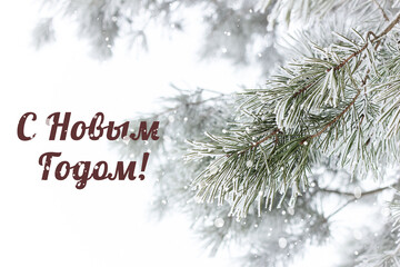 Happy new year text in russian on the background of frozen pine branch with hoarfrost snowing, beautiful christmas and new year design, winter holidays and nature concept