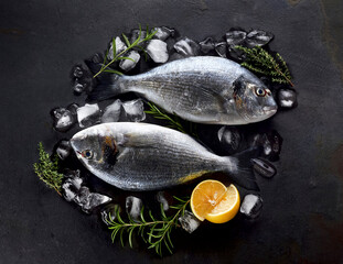 Dorado fishes on the stone with lemon, rosemary  and thyme. Dorado Fish on ice.