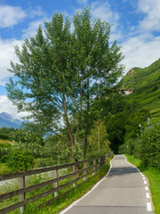 Summer landscape along the cycleway of the Venosta valley