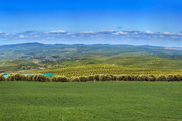 Landscape in province of Jaen, Spain
