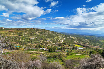 Fototapeta na wymiar View of the neighborhood of Ubeda, Spain