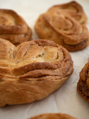 Homemade sweet bun with cinnamon and sugar on white paper background
