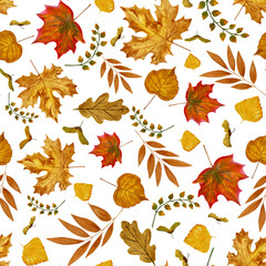 Watercolor seamless pattern of various autumn leaves