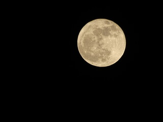 Obraz premium Luna moon