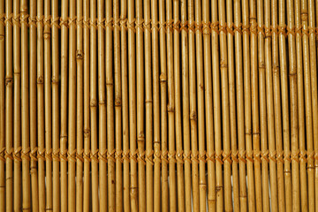 Wall of bamboo. The texture of bamboo. The stems are tightly woven.
