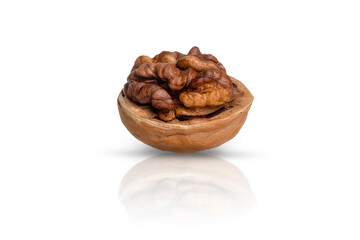 Walnut pulp and shells, on white background