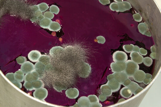 Mould different on the surface of campot or soup in a pot close-up