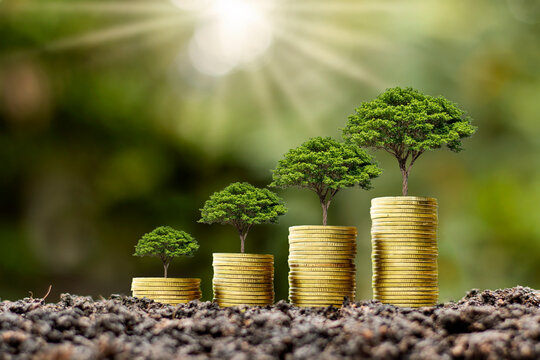 Coin Pile With Tree Growing On Top Of Coin, Money Growth Idea And Sustainable Investment.