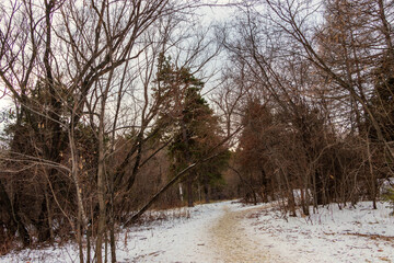 Winter landscape, snow-covered path passes through the forest.