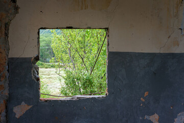 View of a garden from the broken hole in the rusty wall