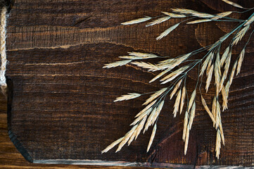 Herbarium of grass with seeds lies on a textured wooden Board. Top view, copy space, decorative decoration..