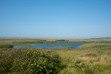 Naturschutzgebiet D&auml;nemark