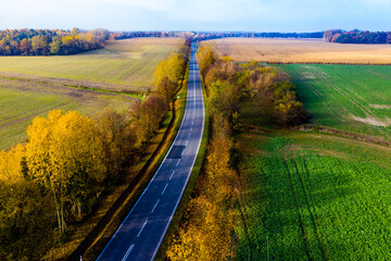 Aerial view of the road in beautiful autumn forest at sunset. Top view of perfect asphalt roadway, trees with orange foliage in fall. Colorful landscape with highway through the woodland. Travel
