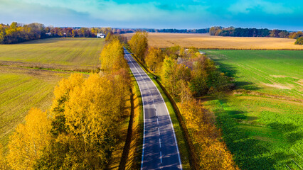 Aerial view of the road in beautiful autumn forest at sunset. Top view of perfect asphalt roadway, trees with orange foliage in fall. Colorful landscape with highway through the woodland. Travel
