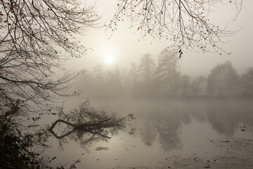 tranquil river landscape in fog,  sympathy card, condolences, obituary