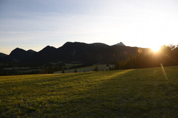 Fototapeta premium Herbstwald und Wiese