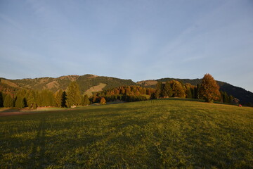 Herbstwald und Wiese