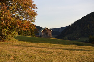 Fototapeta na wymiar Herbstwald und Wiese
