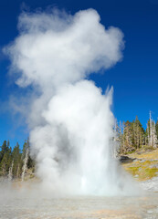 The Grand Geyser Erupting at Yellowstone National Park