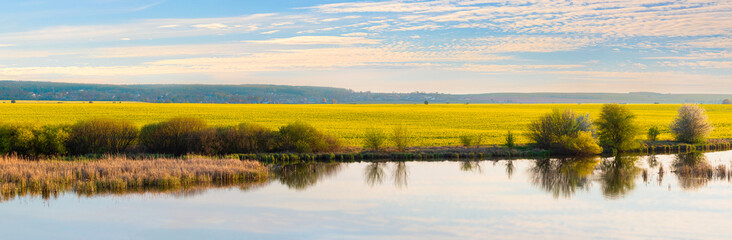 Spring landscape with yellow rapeseed field near the river during sunset, panorama