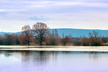 Spring landscape with trees by the river in cloudy weather