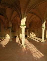 Fototapeta na wymiar Abbaye de Fontdouce en Charente-Maritime France