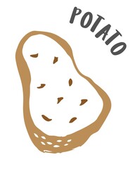 Potato hand painted with ink brush isolated on white background
