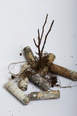 A dried plant with a root system. Among the corroded waste batteries. Environmental protection and waste recycling. Filmed on a white surface.