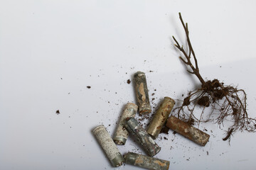 A dried plant with a root system. Among the corroded waste batteries. Environmental protection and waste recycling. Filmed on a white surface.