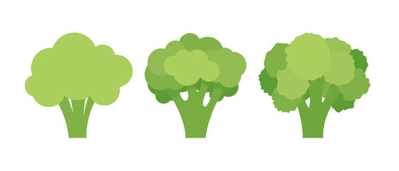 Set of three broccoli isolated on white background. Vector illustration - obrazy, fototapety, plakaty