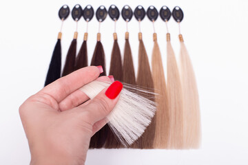 Hair base color palette, samples chart from brunette to blonde on white background