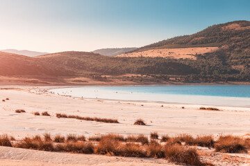 Narrow zoom view of the white sandy beach with grass bushes on the famous lake Salda in Turkey. Wonders of nature and turkish maldives concept