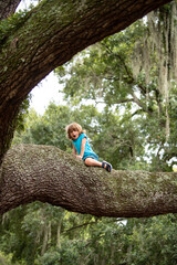 Child climb a branch. Kids climbing trees. Summer holiday adventure. Lifestyle children concept.