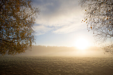 Fototapeta na wymiar Beautiful morning on a foggy field during sunrise. Countryside wallpaper on cold autumn day.