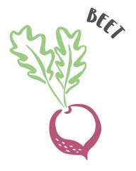 Beet hand painted with ink brush isolated on white background